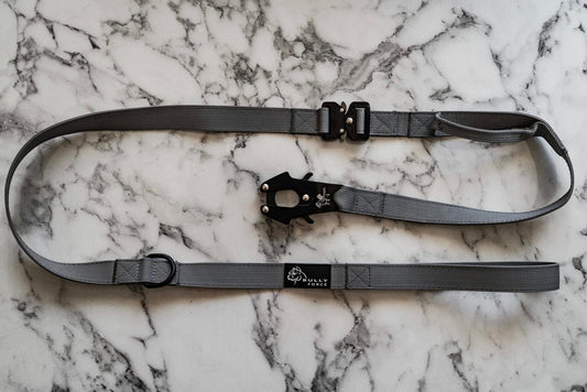 Soft-Leine für Hunde mit Schnellverschluss und Kurzgriff