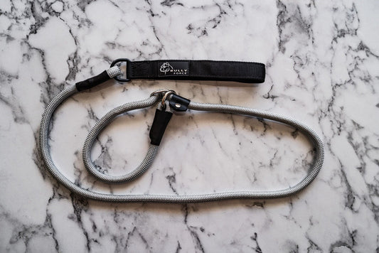 Retrieverleine in Silber – Halsband und Leine in einem