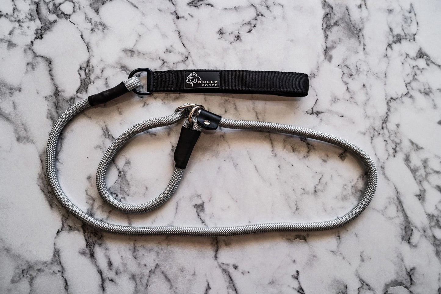 Retrieverleine in Silber – Halsband und Leine in einem