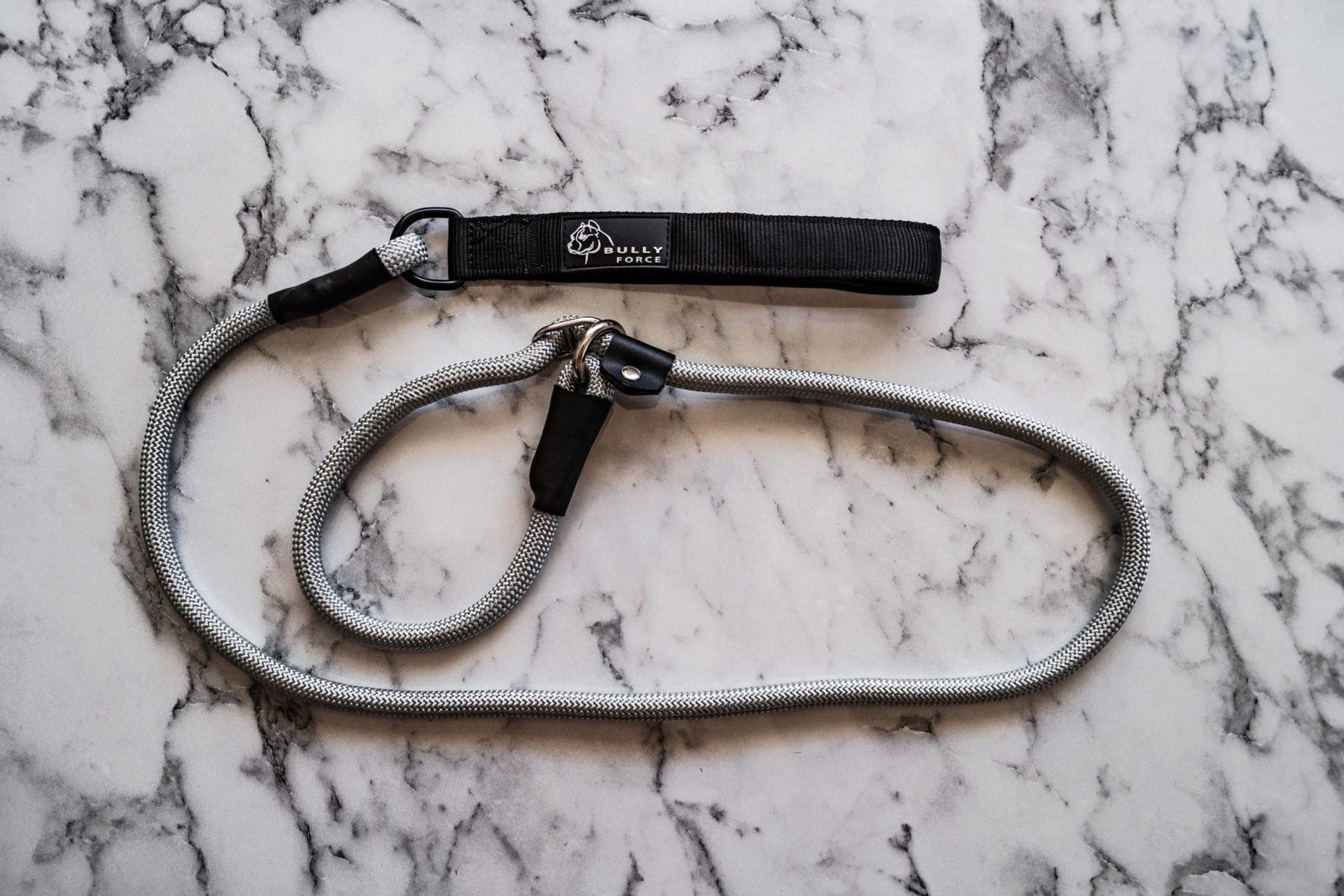 Retrieverleine in Silber – Halsband und Leine in einem