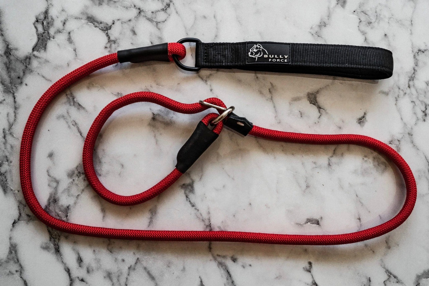 Retrieverleine Rot – kombinierte Leine und Halsband