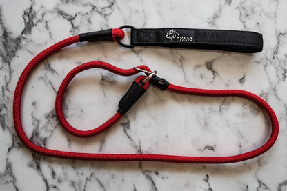 Retrieverleine Rot – kombinierte Leine und Halsband