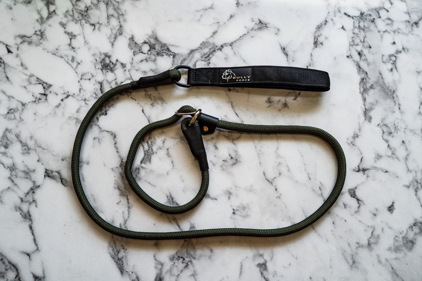 Grüne Retrieverleine – 2-in-1 Leine und Halsband für Hunde